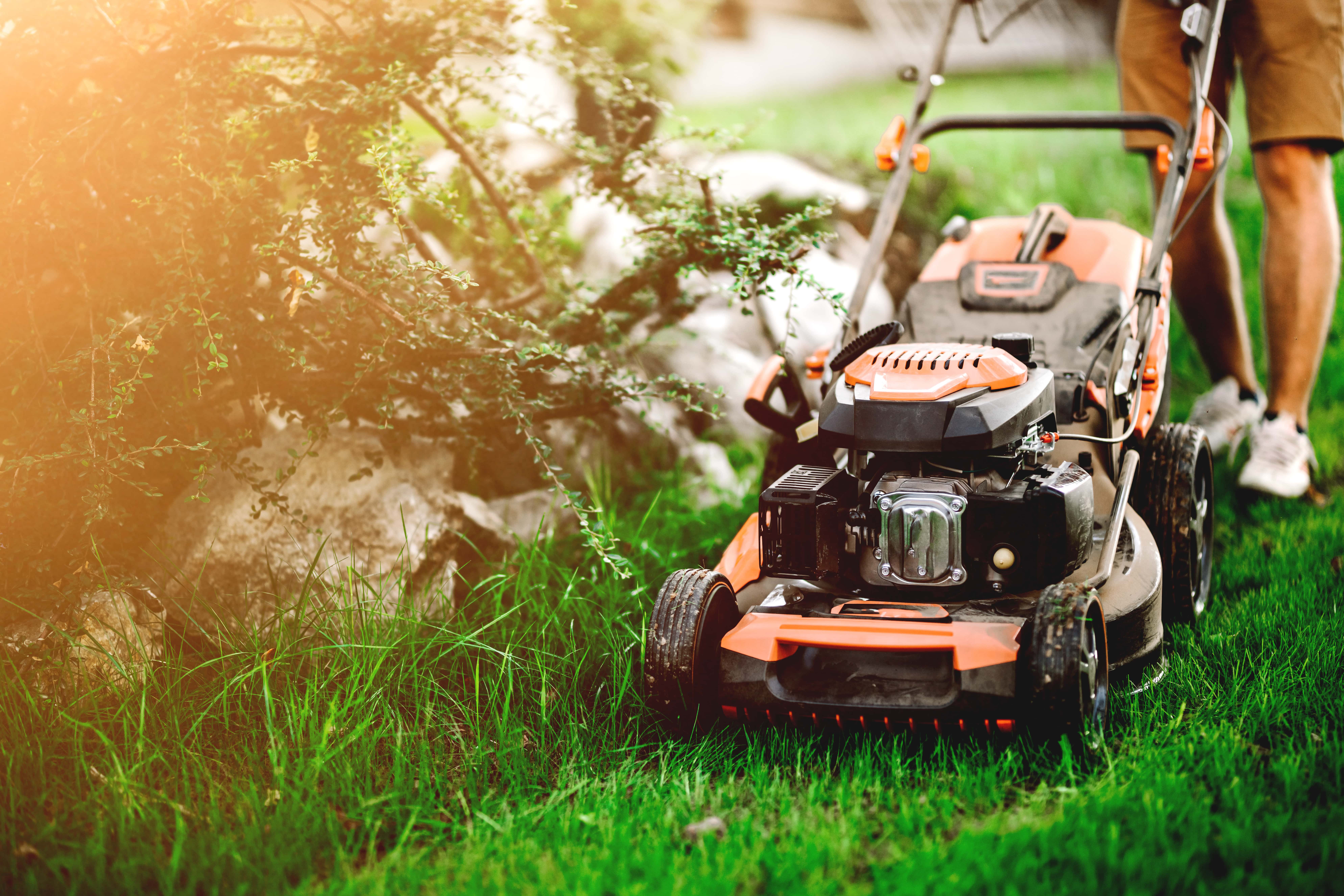 Lawn Image